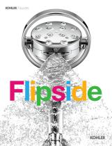 Flipside - 1