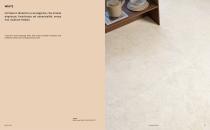 CATALOG GRACE FOSSIL-8