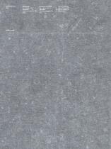 Blue-10