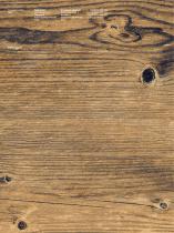 Larix-12