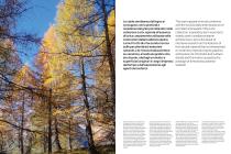 Larix-3