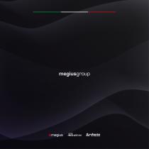 COMPANY PROFILE 2025 MEGIUS GROUP