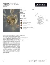 Argent, mon bijou USA-7