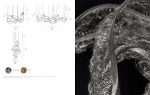 Catalogue 2025-22