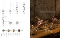 Catalogue 2025-52