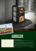 2100 Millennium NZ Wood Stove - 12