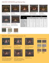 GAS FIREPLACE - 6