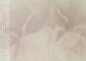 ECOTREND-12