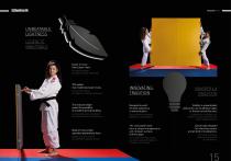 Brochure Progame ITIS-9