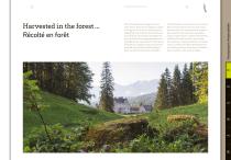 Dennebos Image brochure 2021-7