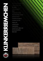 thin brick brochure-1