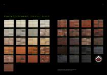 thin brick brochure-3
