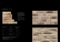 thin brick brochure-4