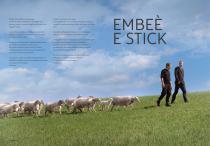 EMBE È-7