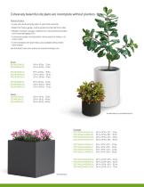 Planters - 3