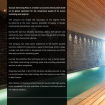 Guncast Domestic Swimming Pools-4