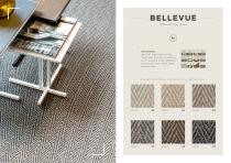 brochure-bellevue - 2