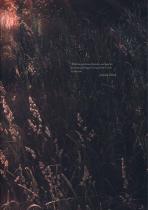 applicata-25