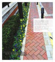 Paving Brick - 4