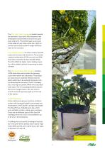 Jiffy portfolio catalogue-5