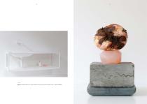 Brochure-15