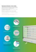 Flyer 1-9