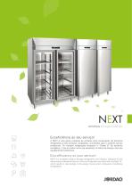 Flyer 3