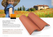 Terracotta clay roofing tyle - 14