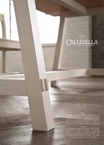 PROJECT DI CALLESELLA - 2