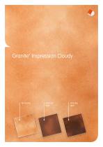 Granite® Impression-6