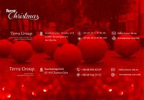 TerraChristmas - Traditional Decoration-7