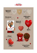 Valentine's Day Decorations For Hotels, Restaurants and Public Spaces-2