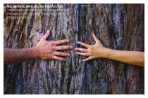 THE NATURAL TOUCH OF WOOD NOVAWOOD PRODUCT CATALOG-13
