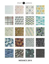 MOSAICS 2014-1