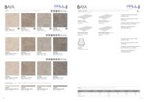 Baya-19