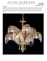 QZ1916 PALME HARROLDS-2