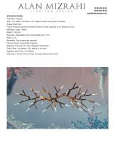 WM2088 ACROPORA-3