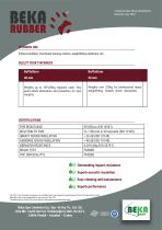 BePlatform-2