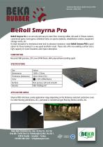BeRoll Smyrna Pro-1