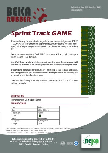 SPRINT TRACK GAME