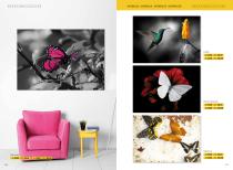 GRAPHICOLLECTION N.3 - 69