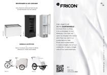 Product Flyer FRICON - 1