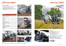 BOBCAT 1-10