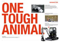 BOBCAT 1-3