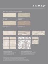 new products Twenty Cersaie 2019 - 15