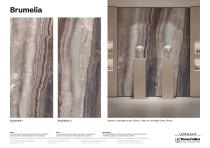 Brumelia-1