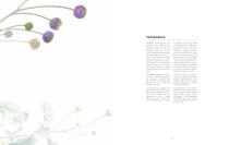 Tecnografica 2024 Catalogue (EN-IT)-5