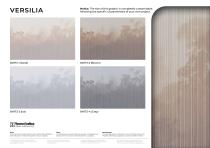 VERSILIA-1