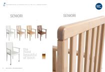 The most beautiful of birch-18