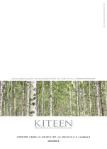 The most beautiful of birch-23